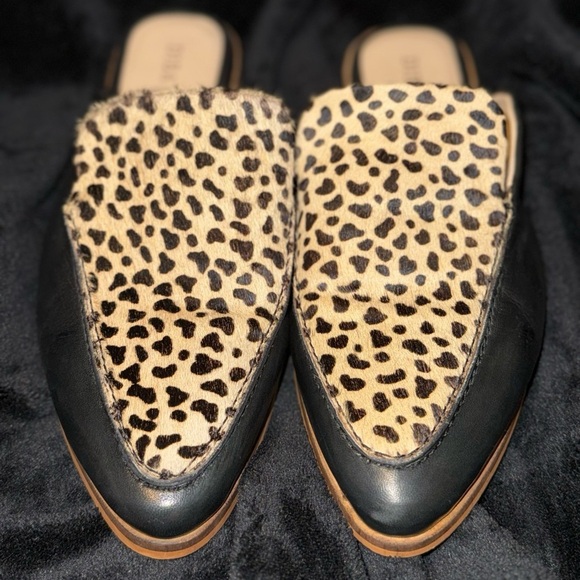 Sleek Brown and Black Mules with Pointed Toe - Picture 12 of 12